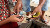 Menurut Saepudin dalam satu bulan ia bisa mendapatkan hingga Rp 300 ribu per bulan dari hasil mengumpulkan botol plastik.