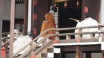 Melihat Persiapan Kaisar Akihito Jelang Turun Takhta