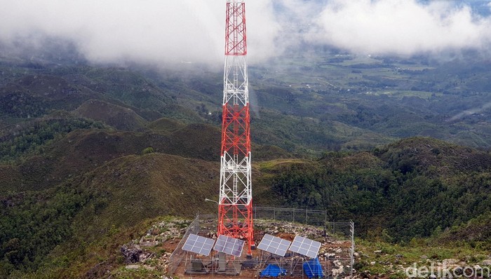 Palapa Ring Timur di wilayah Papua. Foto: Syahdan Alamsyah/detikINET Palapa Ring Timur di wilayah Papua. Foto: Syahdan Alamsyah/detikINET