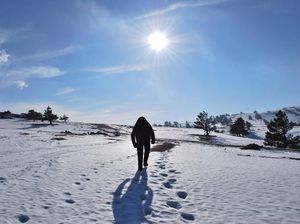Menguak Misteri Yeti, Monster Salju di Pegunungan Himalaya