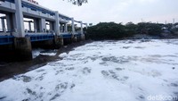 Busa itu kembali muncul tepat di pintu air 3 Kanal Banjir Timur (KBT), Marunda, Jakarta.