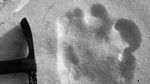 Foto: Jejak-jejak Kaki Misterius yang Diduga Yeti