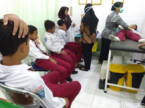 Kawanan Lebah di Kediri Ngamuk, 5 Bocah SD Jadi Korban