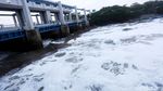 Duh! Air Kali di BKT Marunda Kembali Berbusa