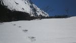Foto: Jejak-jejak Kaki Misterius yang Diduga Yeti