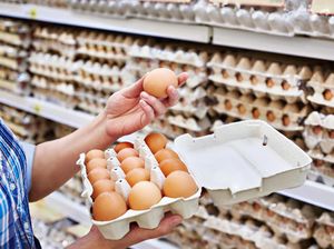 Mau Beli Telur Untuk Stok Puasa? Perhatikan Dulu 5 Hal Ini