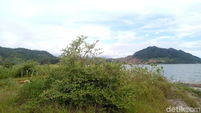 Tak Terurus, Kondisi Pantai di Dompu Ini Sangat Memprihatinkan