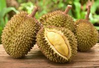 Begini Cara Pilih Durian yang Masak Menurut Pakar Durian
