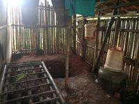 Senyum Pak Jae Karena Rumah Reotnya Dibangun Ulang ACT