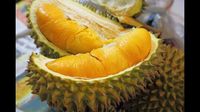 Durian Si Boneng Tanpa Biji dari Banyuwangi yang Jadi Buruan Wisatawan