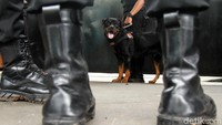Anjing pelacak juga disiagakan.