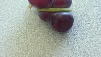 Mirip seperti buah anggur yang tengah tercekik. Anggur ini punya bentuk yang unik, dan menarik perhatian. Foto: Istimewa