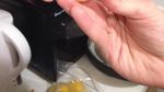 Bentuknya Aneh! Lemon Mirip Wortel hingga Telur Seperti Es krim