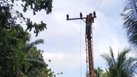 Petugas memasang kabel listrik dan putus. Pool/PLN.