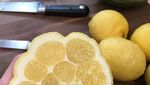 Bentuknya Aneh! Lemon Mirip Wortel hingga Telur Seperti Es krim