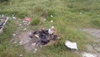 Selain dipenuhi semak belukar, pantai ini juga banyak sampah. Sampah dibiarkan berserakan dan tidak ada yang memungutnya. (Faruk Nickyrawi/detikcom)