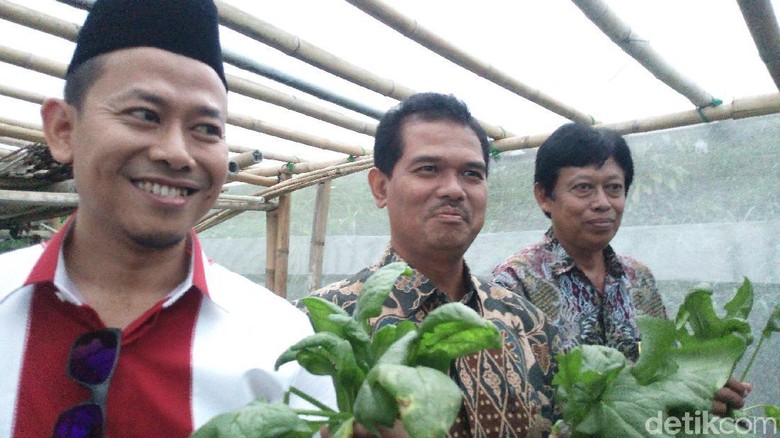 Petani Organik di Lereng Merbabu Bentuk Koperasi Petani Organik di Lereng Merbabu Bentuk Koperasi