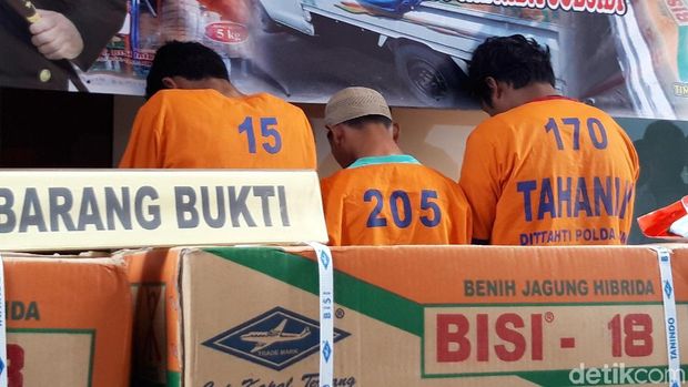 Pelaku penjualan benih jagung ada tiga yang tertangkap, 1 buron