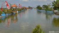 Masuk ke lokasi Wiekes, kita akan disuguhi pemandangan rawa dengan airnya yang jernih dan warna-warni bunga yang menambah segar pemandangan. Pula, kita bisa melihat hamparan padi (Eko Sudjarwo/detikcom)