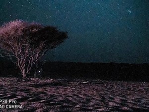 Kata Alexander Amrazing Thian soal Fitur Lowlight Huawei P30 Pro