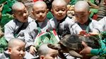 Melihat Keceriaan Para Biksu Cilik Bermain di Taman Hiburan