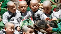 Para Biksu cilik itu pun antusias untuk melihat dan menyentuh seekor kura-kura besar yang berada di taman hiburan Everland di Yongin, Korea Selatan.