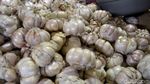 Duh! Harga Bawang Putih Bikin Emak-emak Pusing