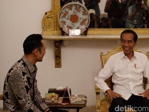 Kata BPN soal Manuver Demokrat Usai AHY Bertemu Jokowi