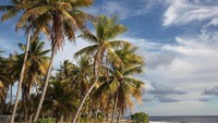 Penjelajah dari Inggris, John Byron datang ke sana di tahun 1765. Dia menyebutnya dengan nama Disappointment Islands (Pulau Kekecewaan) karena tidak ada sumber air yang memadai (Andrew Evans/BBC Travel)