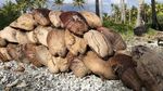 Foto: Kehidupan di Pulau Kekecewaan