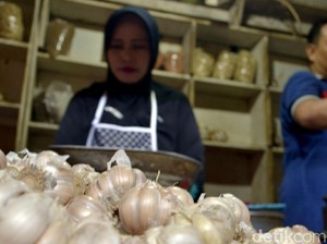 Kementan Jamin Persediaan Bawang Putih Hingga Idul Fitri Aman