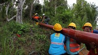 Butuh kerja keras untuk dapat memasang jaringan listrik di pulau ini. Pool/PLN.