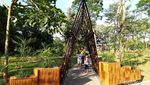 Foto: Air Terjun Niagara dan Pohon Langka di Boyolali