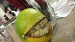 Mirip Monster! Buah-buahan Ini Punya Bentuk yang Aneh dan Menyeramkan