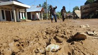 Lumpur yang merendam Desa Ginting memiliki ketinggian 30-50 cm dan mengakibatkan warga mengungsi.