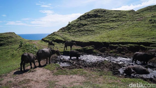 Bukit Merese Lombok Tengah
