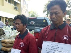 Bawa 106 Kg Ganja Asal Aceh, 2 Kurir Ditangkap di Sumsel