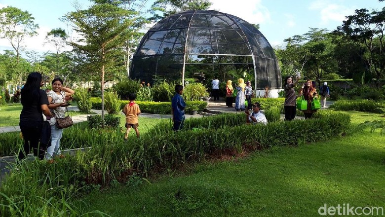 Tumbuhan Langka Dan Air Terjun Niagara Di Kebun Raya