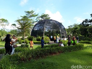 Tumbuhan Langka dan Air Terjun Niagara di Kebun Raya Indrokilo Boyolali