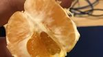 Mirip Monster! Buah-buahan Ini Punya Bentuk yang Aneh dan Menyeramkan