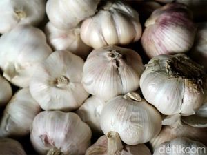 Mentan Ancam Blacklist Importir Bawang Putih Nakal