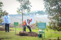 Seru Banget!Jokowi Panen Durian yang Ditanam di Karanganyar, Jateng