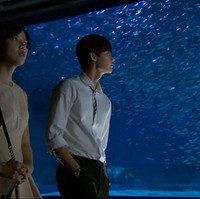 Nge-date di akuarium mungkin sudah dilakukan banyak pasangan. Namun kencan weekend ini bisa jadi cara menyenangkan untuk saling mengenal satu sama lain. Selagi memandangi ikan, Anda dan pasangan dapat saling bertukar pikiran. Tempat tersebut mungkin bisa dijadikan lokasi menyatakan cinta. Foto: ist