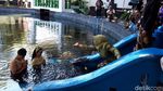 Foto: Padusan, Tradisi Mandi di Boyolali Sebelum Puasa
