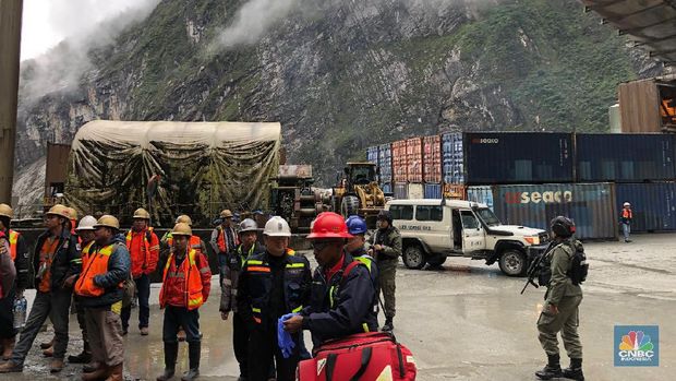 Bangun Smelter Gresik, Freeport Tak Lagi Gandeng Mitsubishi