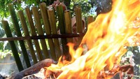 Kegiatan membakar lemang bambu telah menjadi tradisi bagi warga Aceh dalam menyambut bulan suci Ramadhan. Tradisi memasak dan membuat lemang bambu yang dilakukan secara turun temurun tak hanya untuk dikonsumsi pribadi tetai juga dibagikan kepada warga sekitar untuk mempererat silaturahmi. Antara Foto/Syifa Yulinnas.