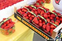 Keren! Italia Pecahkan Rekor Ciptakan Strawberry Cake Terpanjang di Dunia