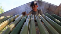 Memasuki bulan Ramadhan warga di Desa Alue Raya, Aceh Barat, mulai membakar lemang bambu pada Sabtu (4/5/2019). Antara Foto/Syifa Yulinnas.