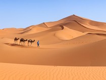 Sahara Letaknya di Mana? Begini Kondisinya sebagai Gurun Panas Terbesar di Bumi