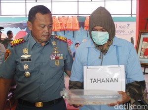 Aparat Gagalkan Penyelundupan Benih Lobster Rp 5 M ke Singapura